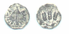 coinagripp1.jpg (4174 bytes)